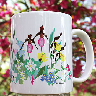 mug DS-004 Wildflower collection  7023.jpg